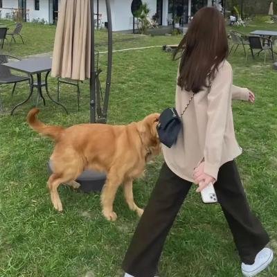 角头